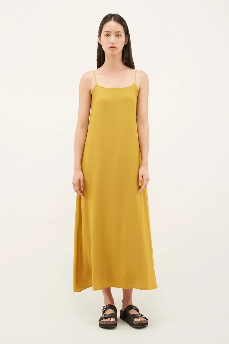 Caelia Maxi Dress 